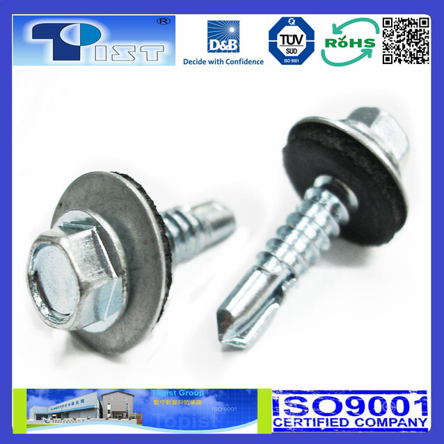 Hex Washer Head, Self Drilling Screw, Zine Plated, With Bonded Washer
