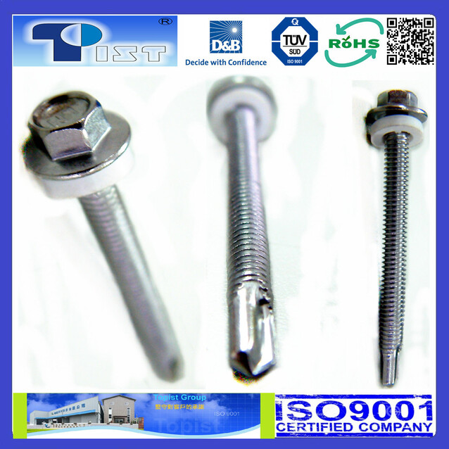Hex Flange Washer Head, Self Drilling Screw, Zine Plated, With White EPDM