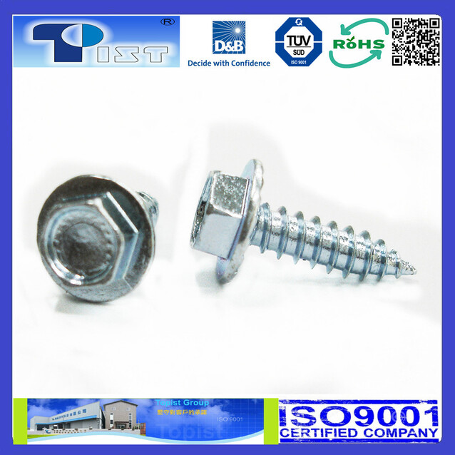 Hex Washer Head, Tapping Screw, Zine Plated