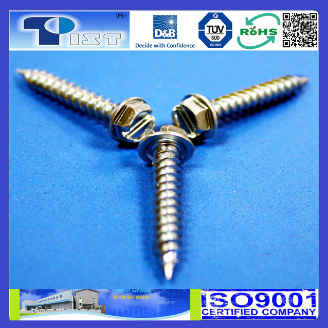 Hex Washer Head, Slot, Tapping Screw, Zine Plated