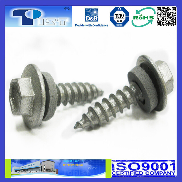 Hex Flange Washer Head, Tapping Screw, With Gray EPDM, Ruspert